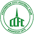 Chichester City FC
