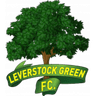Leverstock Green