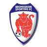 Bromsgrove Sporting