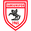 Samsunspor logo