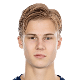 Theo Bergvall