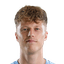Victor Torp