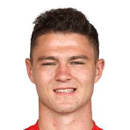 David Skubl