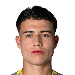Diego Mina