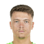 Dzenan Pejcinovic