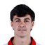 Gonzalo Petit