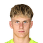 Harald Postl