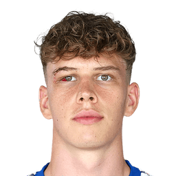 Maximilian Fillafer