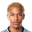 Mikael Marques