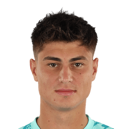 Razvan Ducan