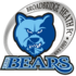 Broadbridge Heath logo