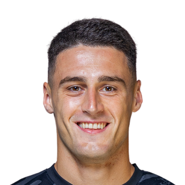 Belmin Dizdarevic