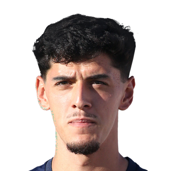 Afonso Rodrigues
