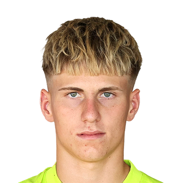 Harald Postl