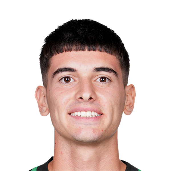 Luca Lipani