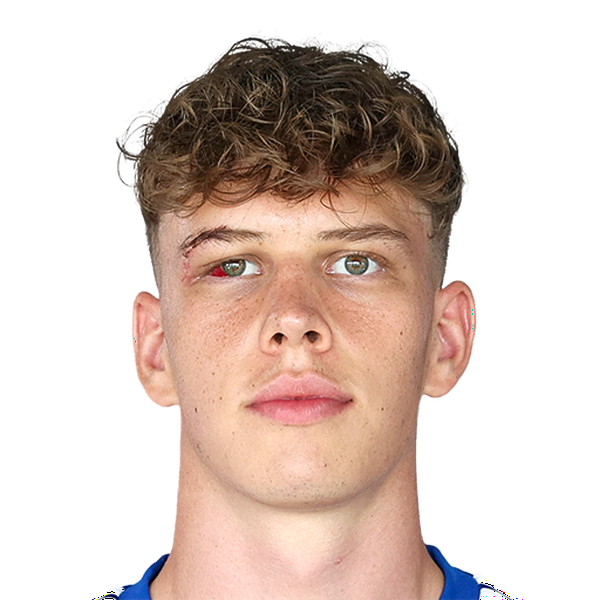 Maximilian Fillafer