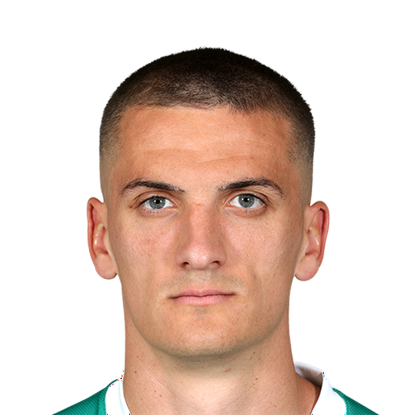Nenad Cvetkovic