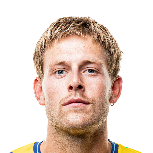 Nicolai Vallys