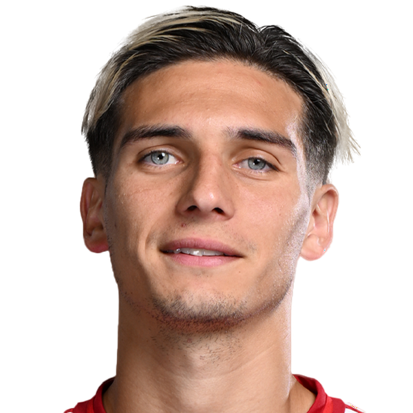 Nicolas Dominguez