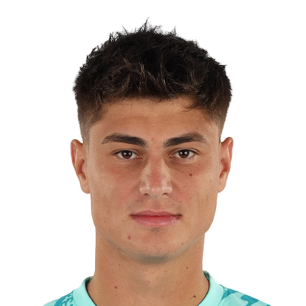 Razvan Ducan