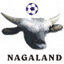 Nagaland logo