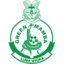 Green Mamba logo