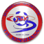 Aigles du Congo logo