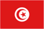 Tunisia U21 logo