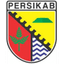 Persikab Bandung logo