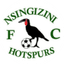 Nsingizini Hotspurs logo
