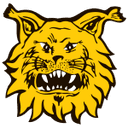 Ilves 2