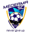 Medeama logo