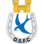Dungannon logo