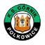 Polkowice logo