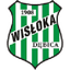 Wisloka Debica logo