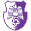 FC Arges logo