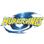 Hurricanes logo