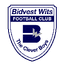 Bidvest Wits logo