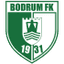 Bodrum FK logo