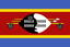 Eswatini U20 logo