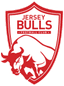 Jersey Bulls logo