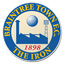 Braintree logo