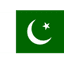 Pakistan W logo