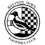 Royston Town logo